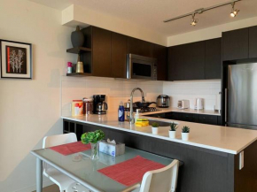 Richmond center cozy 1 bedroom and 1bathroom